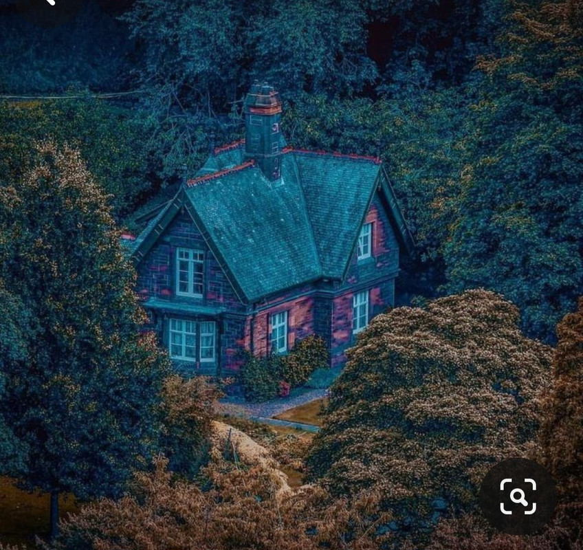 Screenshot_20231113_000634_Pinterest