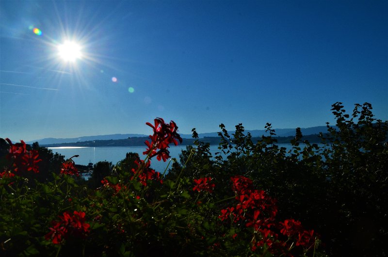 MURTEN-4-9-2019 - Suiza y sus pueblos-2019 (30)
