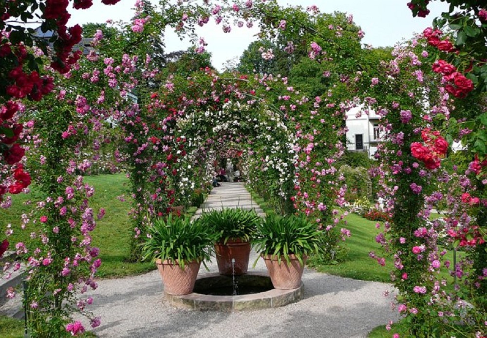 p1500752