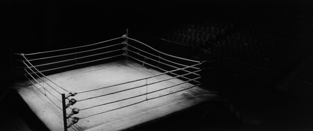 vlcsnap-2025-01-21-03h24m41s313