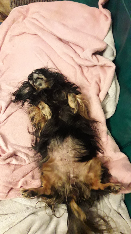 [Image: 20201016-233924.jpg]