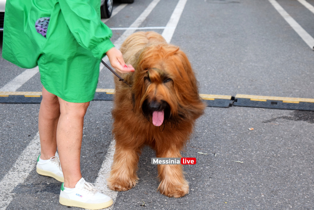 παρκο σκυλιαDSC_0998