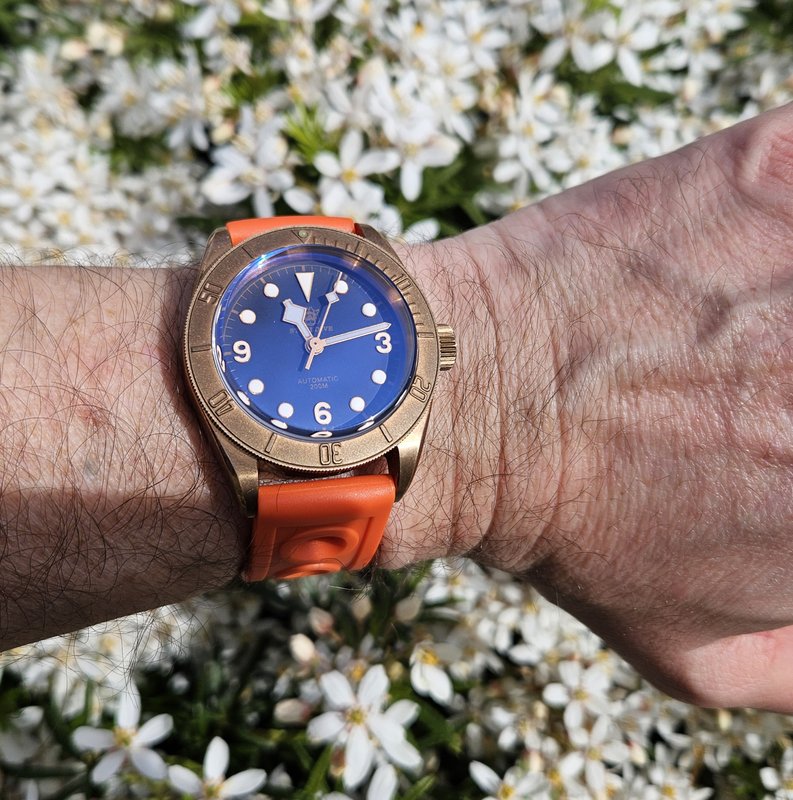  Le club des heureux propriétaires décomplexés de montres "hommage" - tome 10 - Page 5 20250419-111305