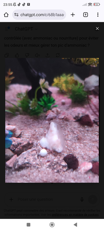 Screenshot_2025-08-29-23-55-24-573_com.android.chrome