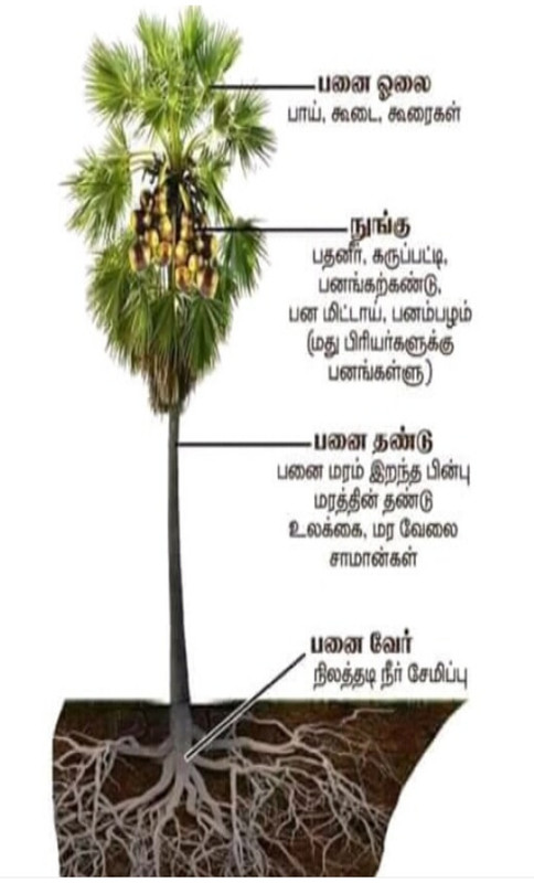 Screenshot-2020-09-15-15-42-46-569-org-m