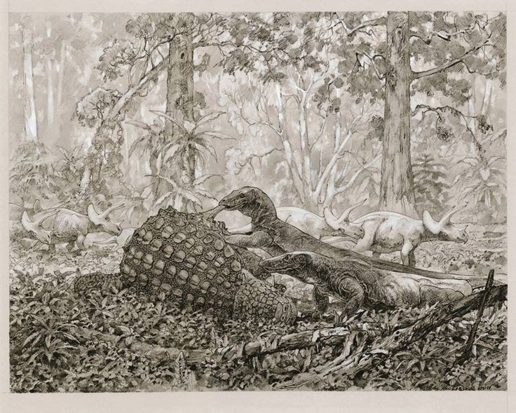 30ffb22ccf849df4220d95ef4f8f7094--prehistoric-monitor