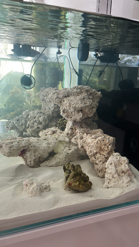 8FA694BC-993C-4249-B9BF-2A19D462B46B