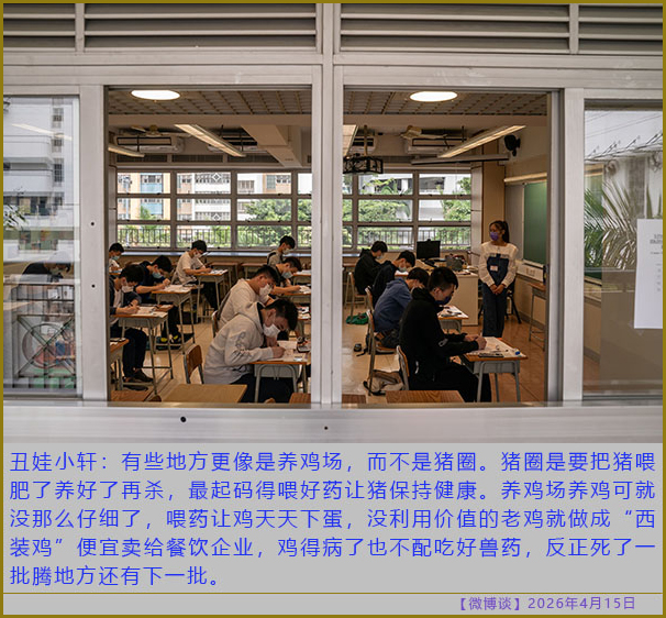 https://i.postimg.cc/SsNzsk5P/20260415-bt-(7).jpg