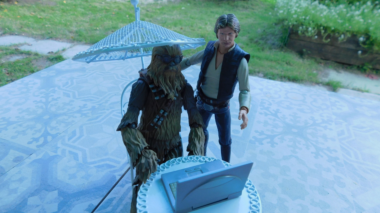 Дачно-барбейское июль, Харлинское 2-я серия 151