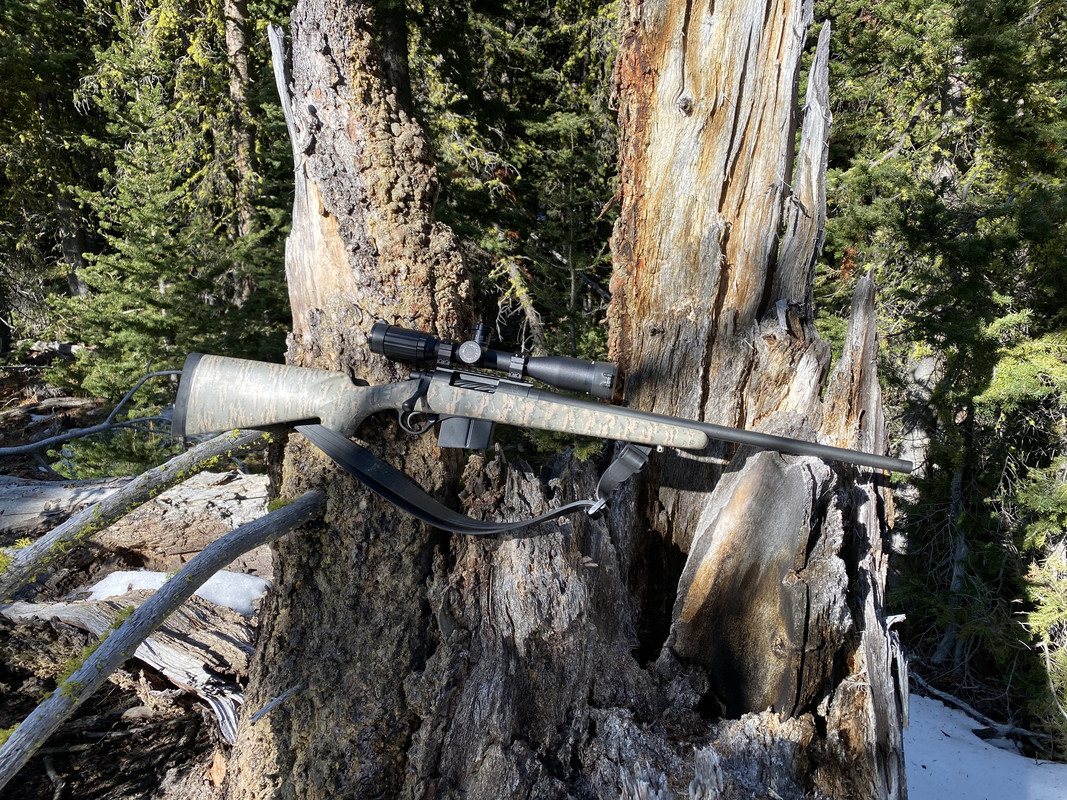 D859406F-A027-4554-8837-AC0F210C20B5