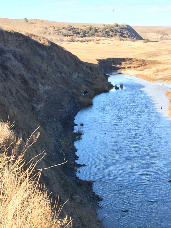 115E7112-013D-4DFC-B8B9-0C7890D77BE0