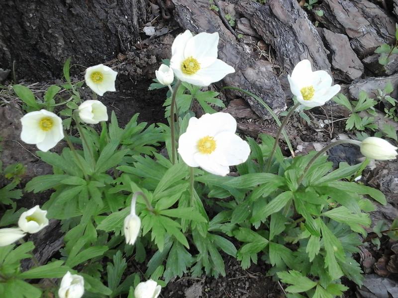 20190503_174731