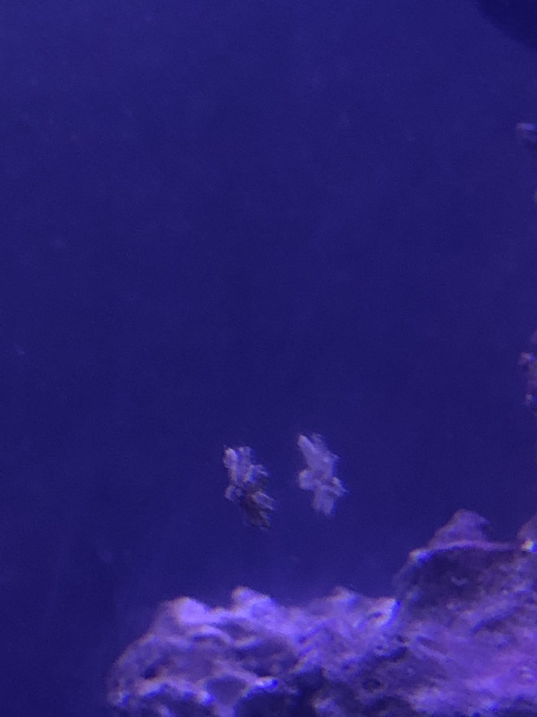 10902DB1-ADD9-48E5-B61D-FE394CD2C429