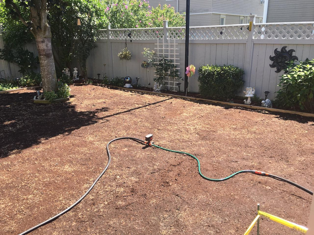 2017_Backyard_Reno_Day_4_2_small