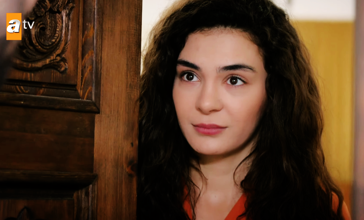 Hercai / თავქარიანი 15