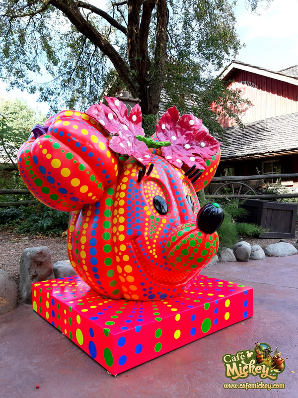 WhatsApp Image 2020-09-03 at 11.44.13 (2)