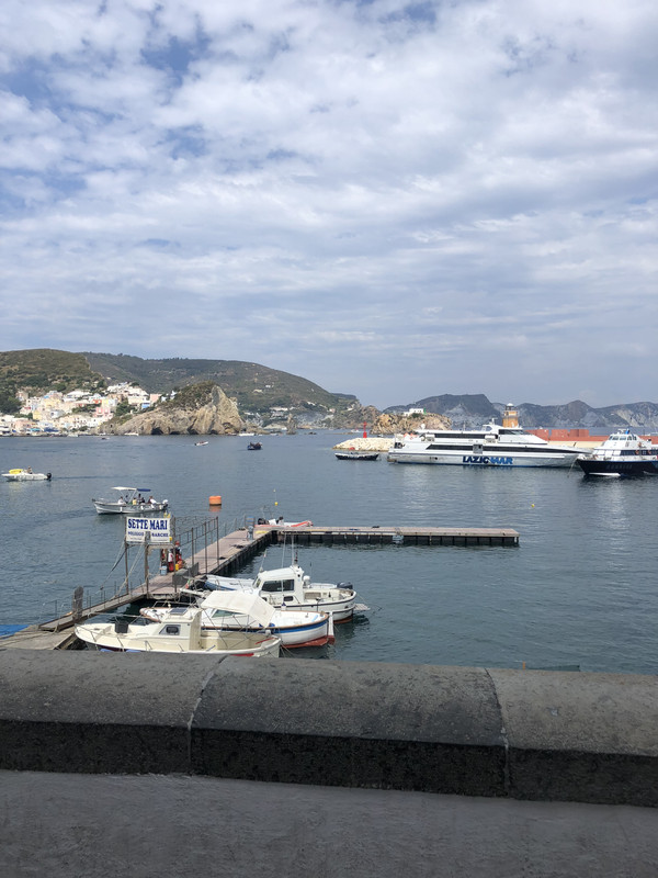 92AC1A0D-BDB3-4A01-982F-0C01F74D28CB