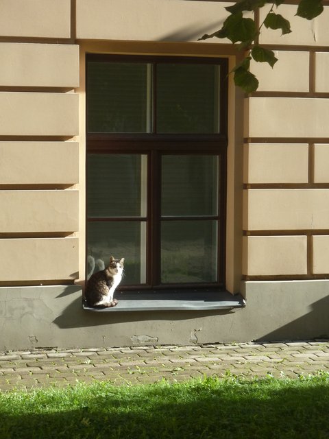 Algunos consejos y cuestiones varias. - Riga en 3 dias. (2)