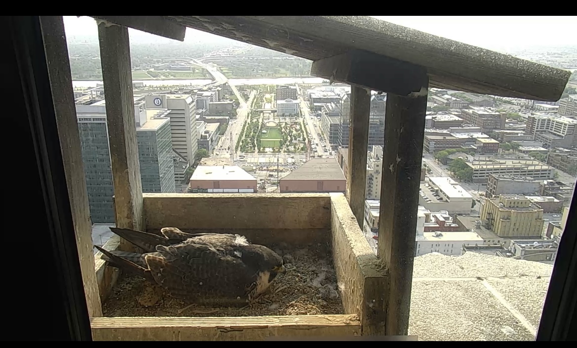 E1FBDE06-9BFB-457C-A504-A9612FE066B2