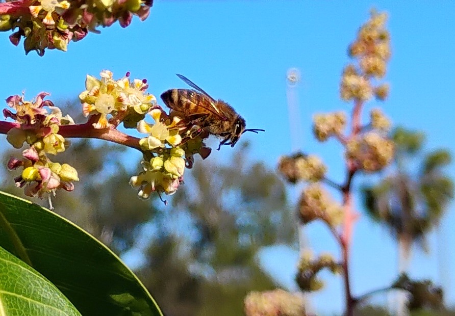 IMG 20260103 094544981 2