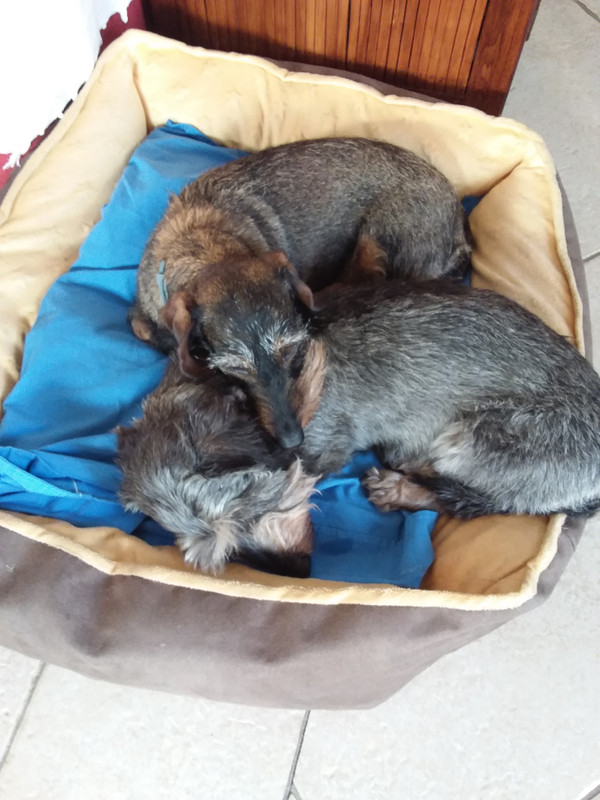 [Image: 20230716-081211.jpg]