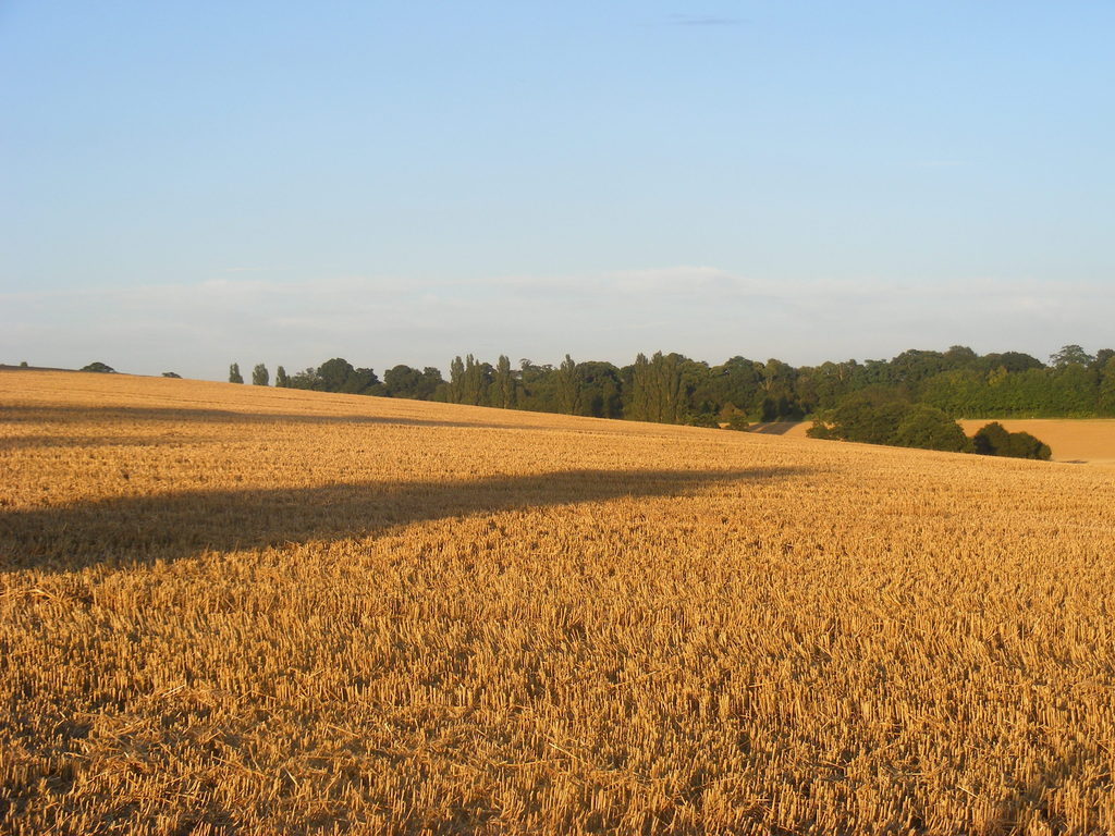 DSCF5326.jpg