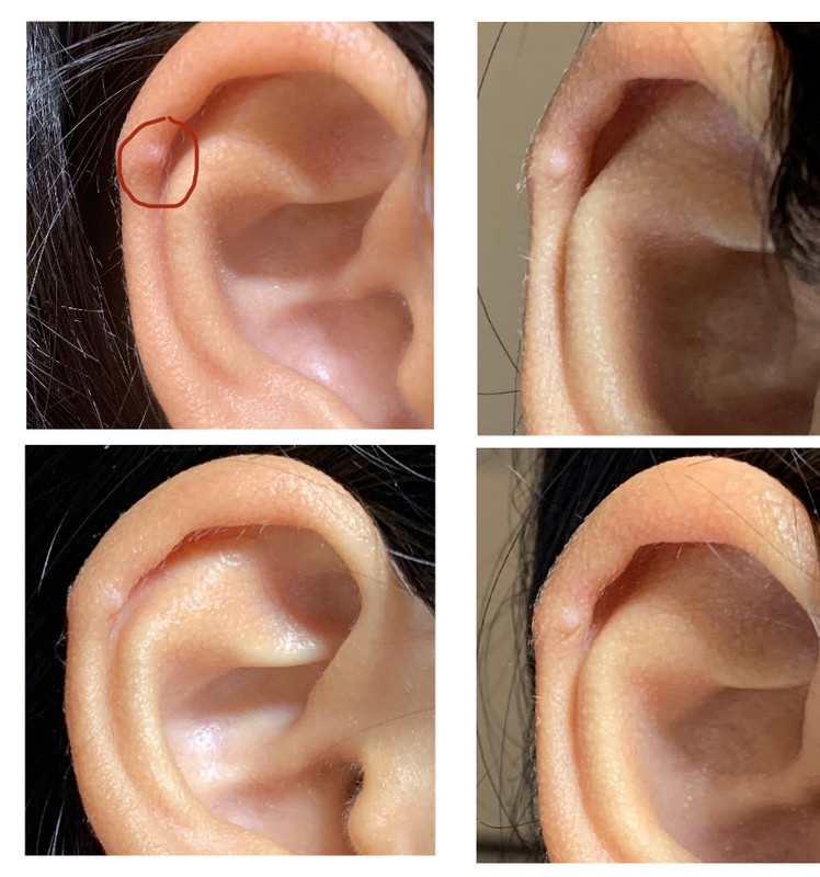 62C59CEE-A9C0-47A7-B2FB-C236330C8826