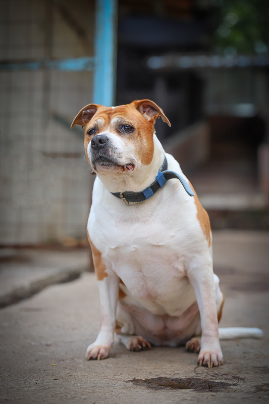 1CB42F46-A258-4FC6-BB13-6219E91FD53F