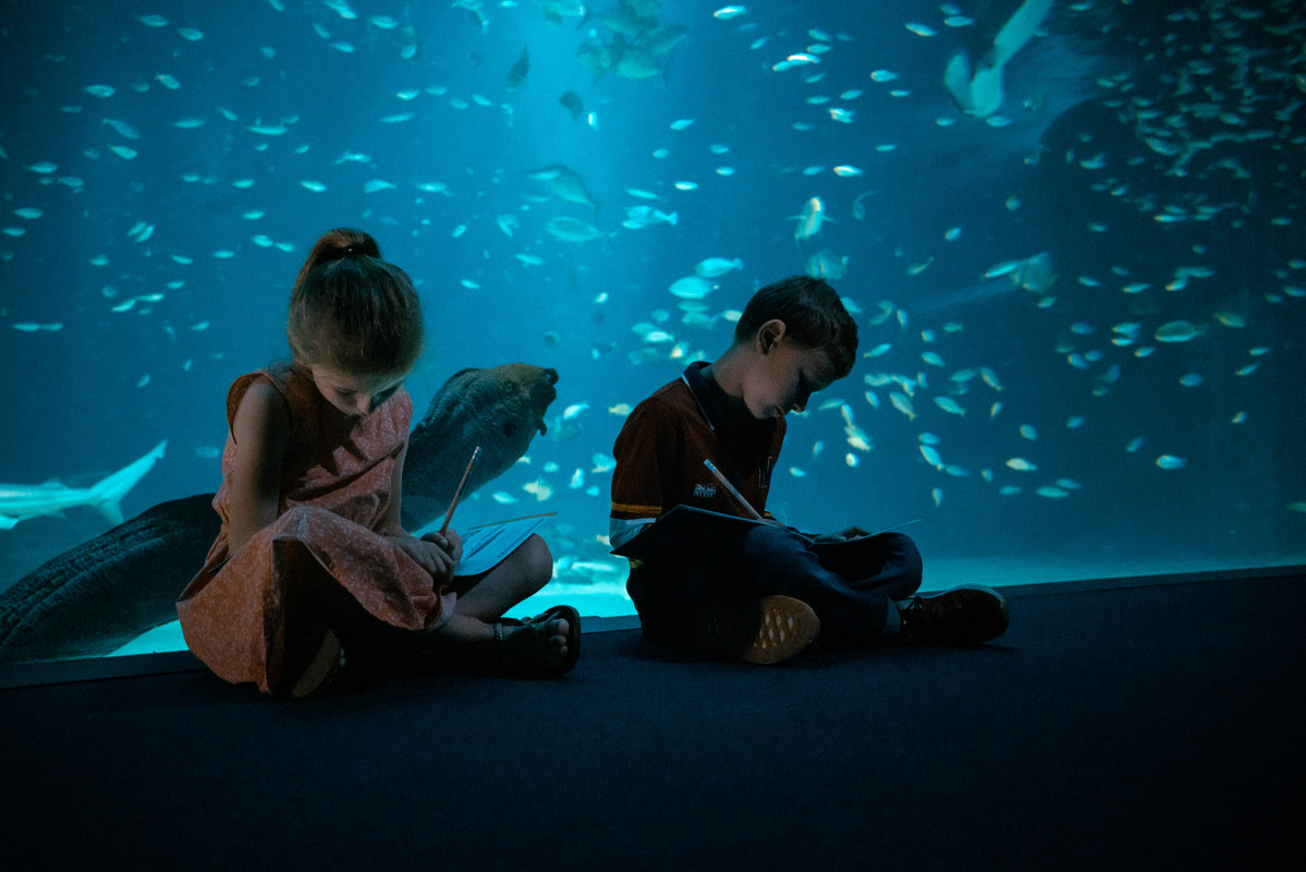 Carnet educatif-H-Lamblin-Iconocom (2)