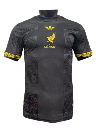 2526 Season Mexico Gold Cup Special Edition Jersey Player Version