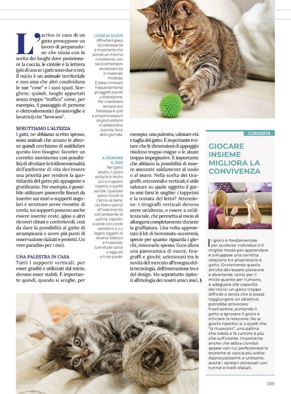 Ga Ma Ago-Set  2021 (8)