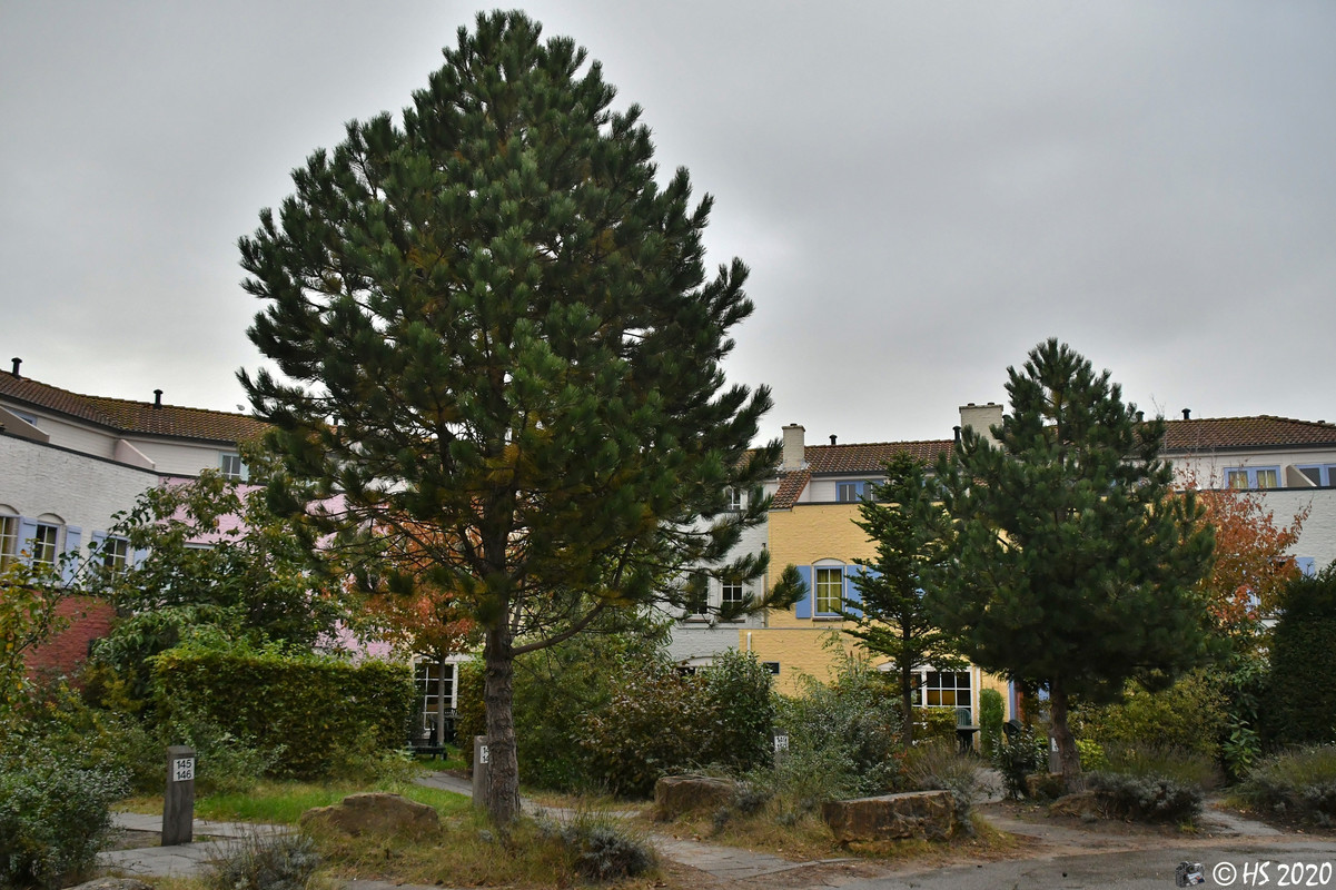 CenterParcs Port Zélande (23)