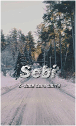 Sebi-Gif.gif