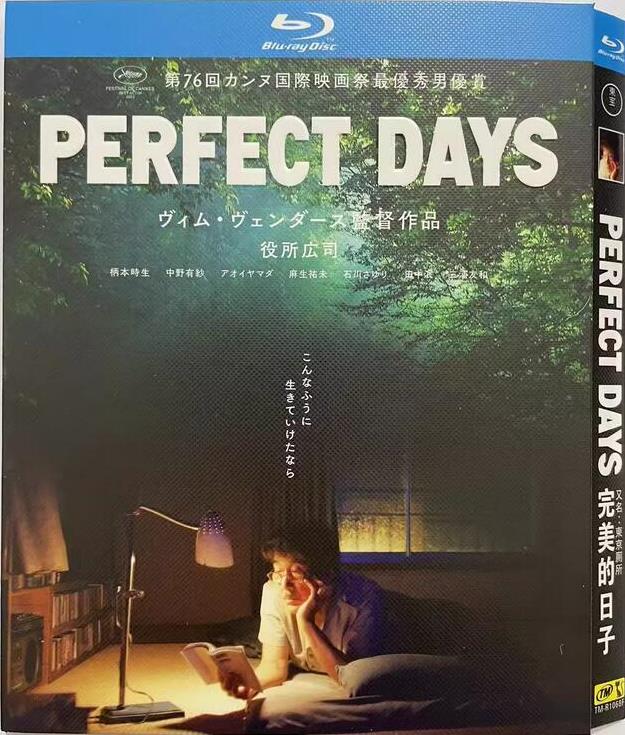 Perfect Days (2023).avi BDRiP XviD AC3 iTA