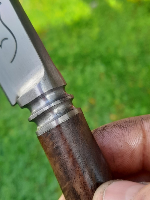 WhatsApp Image 2022-04-24 at 9.50.41 AM (1)