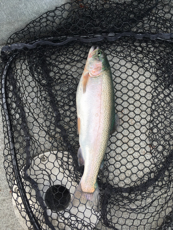 CAC428D1-0528-40C1-82AB-AC4D53DF2390