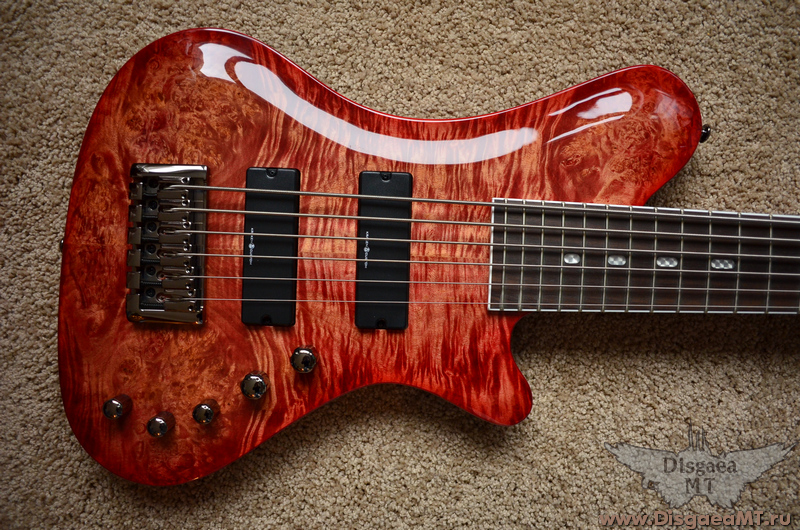 Kraken_Champ_3.9_6_string_5-redbrl_002