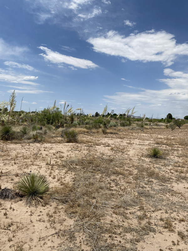 2.5 acre Building Lot within minutes to Deming, NM.  Only $200/month!!