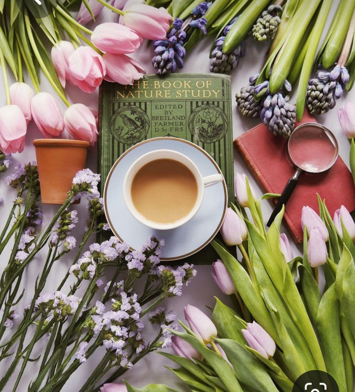 Screenshot_20230420_011212_Pinterest