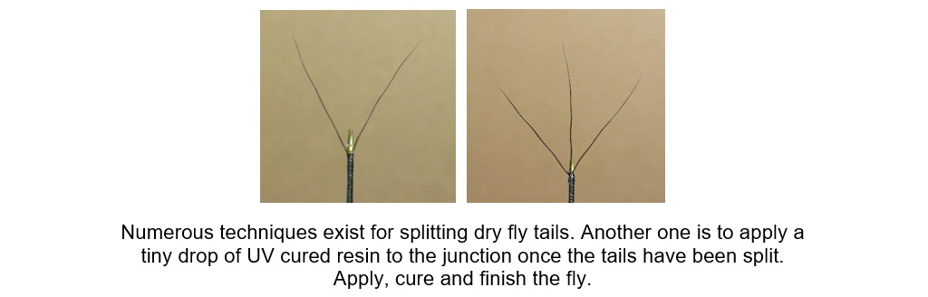 58-split-tails.jpg