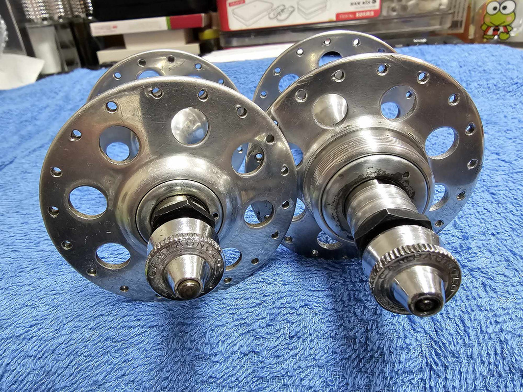 405458826_1097514504961860_644352531830812864_n