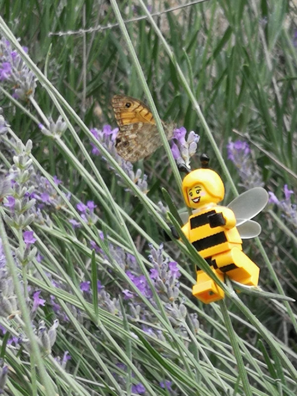 BA14D6DD-83B9-45D0-AABB-453441F794C9