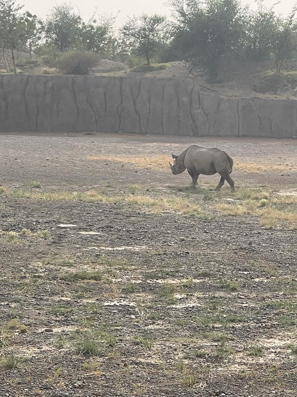 ���� ���� ������ �� ���� ������