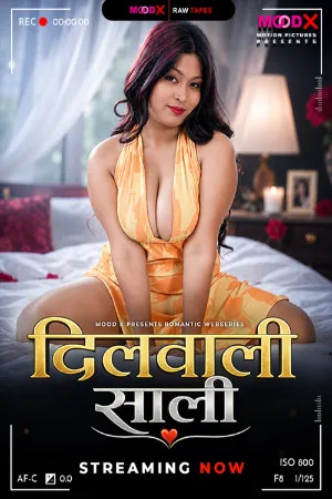 Dilwali Saali BTS 2026 Hindi Season 1 Episodes 1 Added Moodx WEB Series 720p WEB-DL 1Click Download