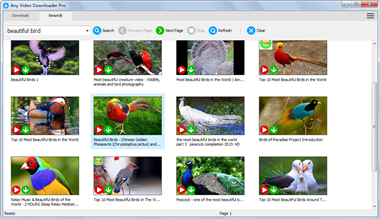 Any Video Downloader Pro 7.15.2
