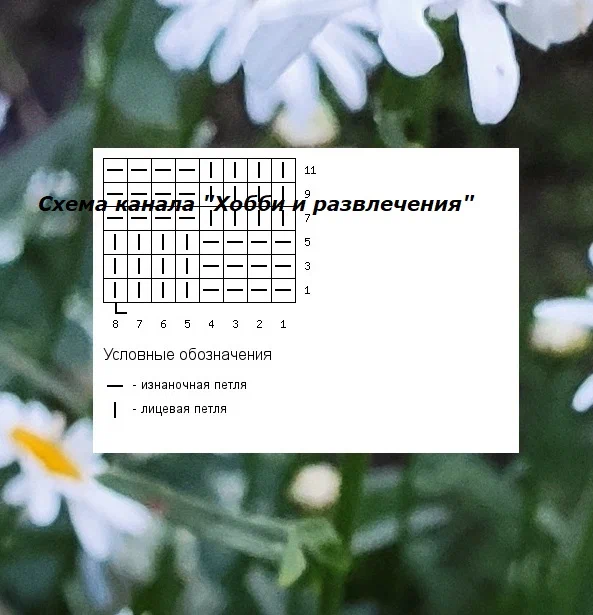scale-1200-1