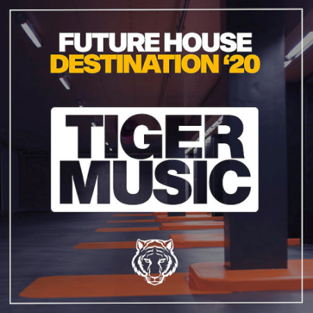 VA - Future House Destination 20 (2020)