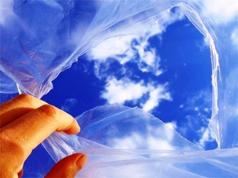 Creato per un altro mondo dans Citazioni, frasi e pensieri Creato-per-un-altro-mondo