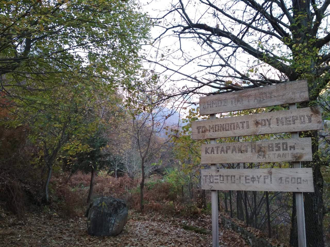 89F5DB7D-E0CC-4DE3-A7F1-CE72628F25D6