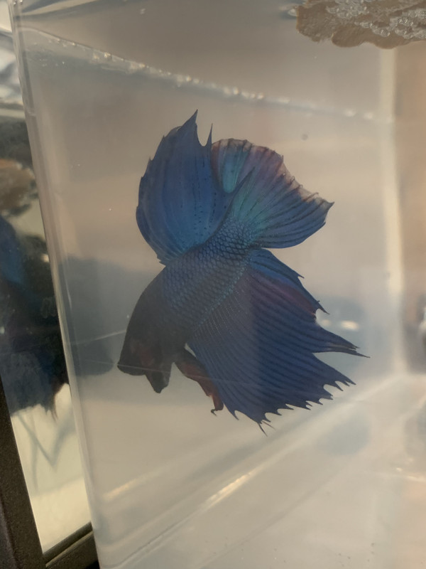 833E9BDB-7889-4AA0-B786-7FCC977055E2